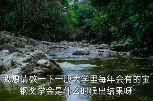我想請教一下一般大學(xué)里每年會(huì)有的寶鋼獎(jiǎng)學(xué)金是什么時(shí)候出結(jié)果呀
