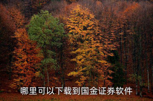 國金證券用的什么軟件，國金證券手機怎樣下載