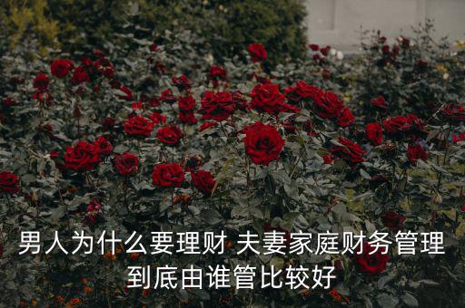 男人為什么要理財(cái) 夫妻家庭財(cái)務(wù)管理到底由誰(shuí)管比較好