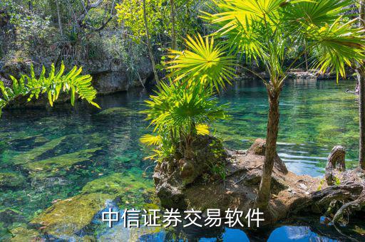 中信證券的交易軟件是什么，中信證券用什么軟件的