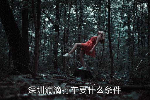 深圳交通滴滴有什么政策，申請深圳滴滴對司機有些什么要求嗎