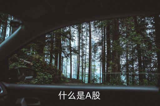 什么是a股和b股，什么是A股