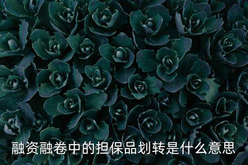 什么是劃轉(zhuǎn)，劃撥轉(zhuǎn)賬是什么意思