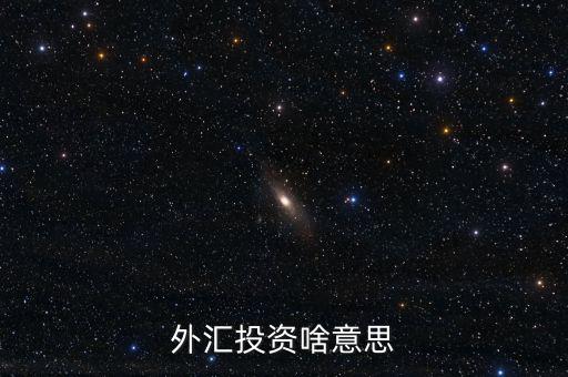 外匯融資是什么意思，外匯投資啥意思
