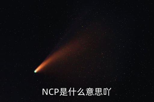 可比企業(yè)ncp是什么簡稱，NCP是什么意思吖