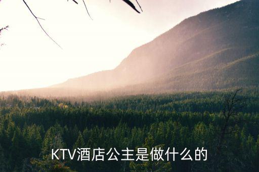 酒店出臺(tái)是干什么的，KTV酒店公主是做什么的