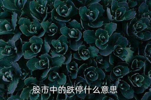跌停是什么意思，跌停是什么意思
