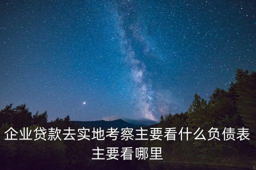 貸款實地考察做些什么，企業(yè)貸款去實地考察主要看什么負債表主要看哪里