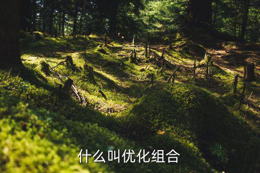 優(yōu)化重組是什么書，什么叫優(yōu)化組合