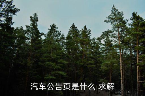 汽車公告頁(yè)是什么 求解