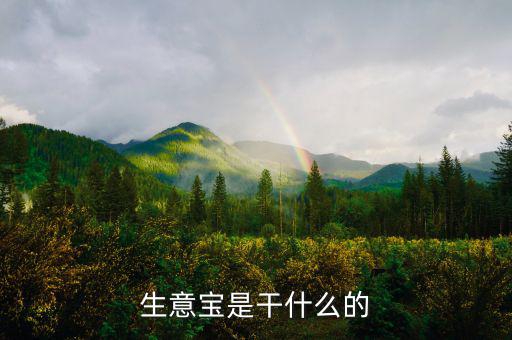 生意寶屬于什么版塊，生意寶聽說過嗎聽說能快速賺錢是真的假的