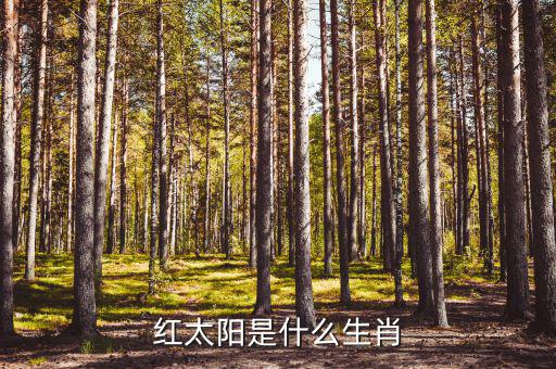 紅太陽屬于什么股，紅太陽是什么生肖