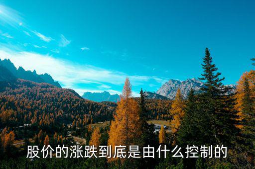 是什么控制了中國股市，是什么在操縱股市的大盤