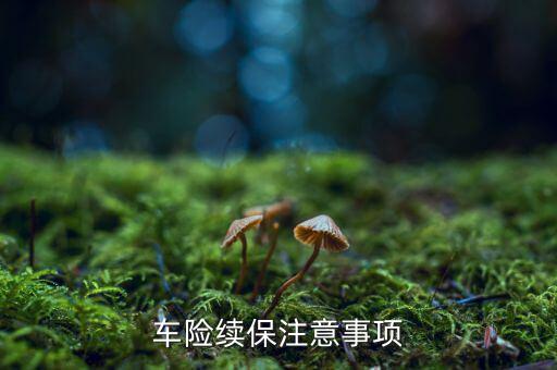 三大優(yōu)質(zhì)業(yè)務(wù)續(xù)保需要注意什么，保險(xiǎn)要到期了問(wèn)一下續(xù)保需要注意啥