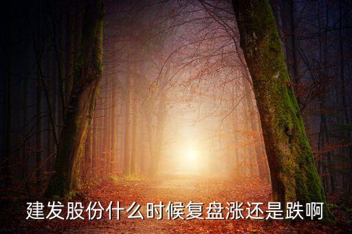 002719股什么時(shí)候復(fù)盤，000719什么時(shí)候復(fù)牌啊
