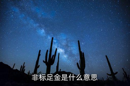 什么是金融非標(biāo)產(chǎn)品，什么叫非標(biāo)融資