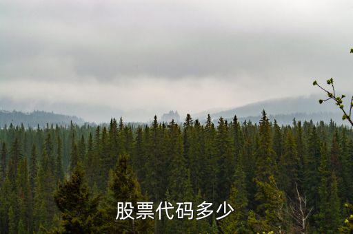 b股代碼以什么開(kāi)頭，a股和b股代碼怎樣區(qū)分