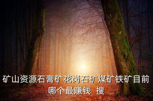 鐵礦為什么不掙錢，在內蒙古搞鐵礦賺錢嗎