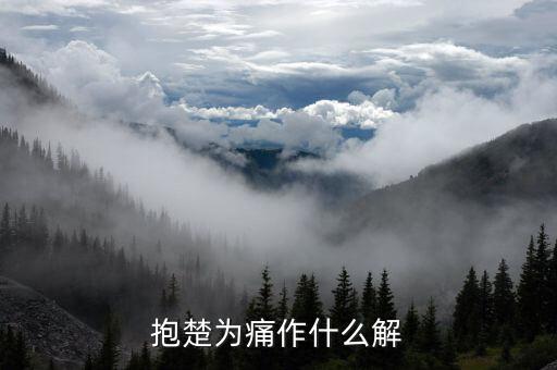 抱楚為痛什么意思，是你很激動(dòng)求我原諒抱得我都痛 是什么意思