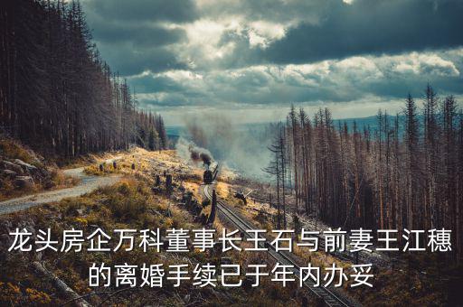 王石什么時(shí)候離婚的，龍頭房企萬科董事長(zhǎng)王石與前妻王江穗的離婚手續(xù)已于年內(nèi)辦妥