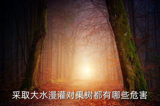 廣西地區(qū)大水漫灌導致什么，在干旱半干旱地區(qū)采取大水漫灌的灌溉方式可能會導致土地鹽漬化