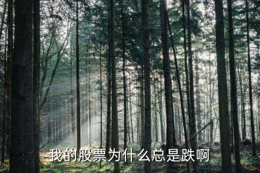 捷城股份為什么一直跌，有被捷成投資騙的人嗎咱們一起去告他