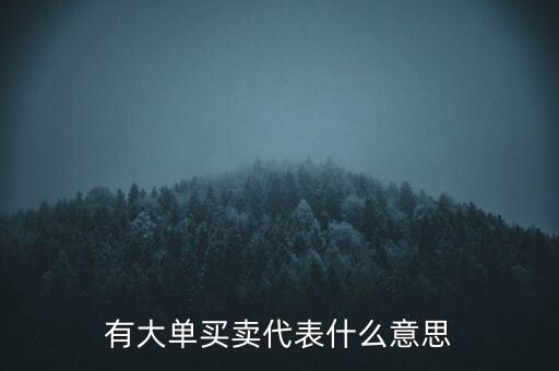 在買5成交有大單是什么意思，股票中大單是什么意思