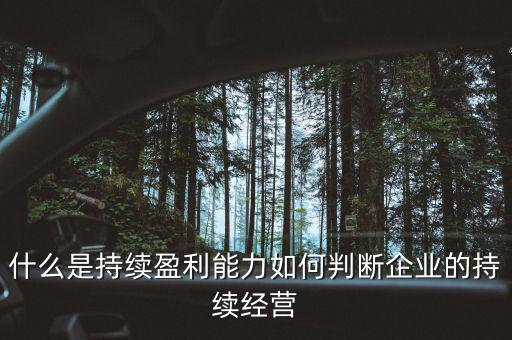 什么是持續(xù)盈利能力，什么是具備持續(xù)贏利能力的行業(yè)