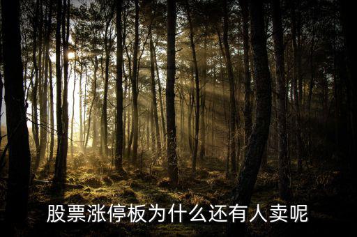 為什么已經(jīng)漲停的股票那么多人買，當(dāng)天漲停的股票為什么還有那么多人買入跟進(jìn)呢