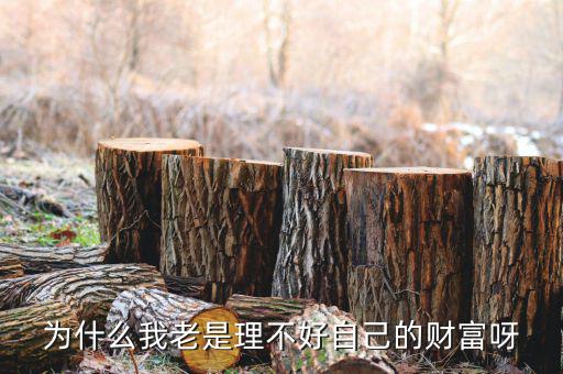 財富為什么不好說說理由，我?guī)蛣e人回答問題為什么說財富不足