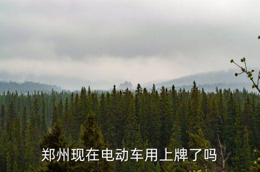 鄭州現(xiàn)在電動(dòng)車(chē)用上牌了嗎