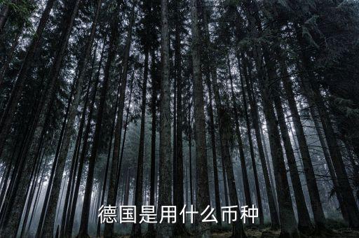 德國是什么貨幣，德國是用什么幣種