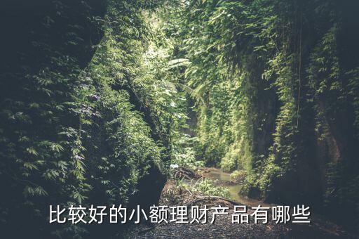有什么小額理財產(chǎn)品，小額理財投資產(chǎn)品有哪些