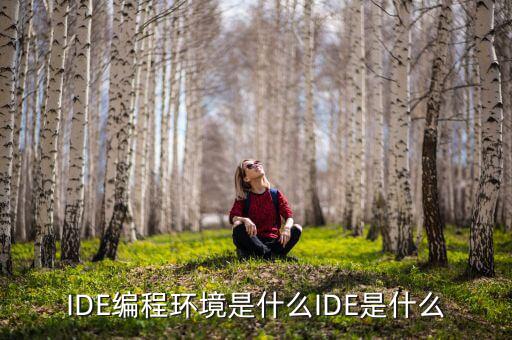 tltro是什么，虛擬內(nèi)存是什么玩意