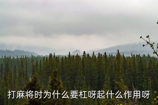 為什么要用杠桿，為什么有些杠桿要設(shè)計(jì)成費(fèi)力的呢