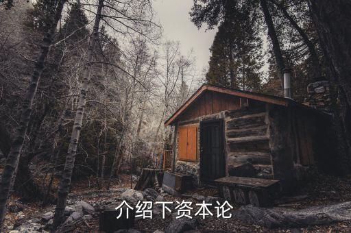 資本論是什么發(fā)表的，資本論 是馬克思寫(xiě)的不