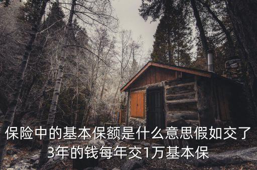 基本保額是什么意思，基本保險(xiǎn)金額是什么意思