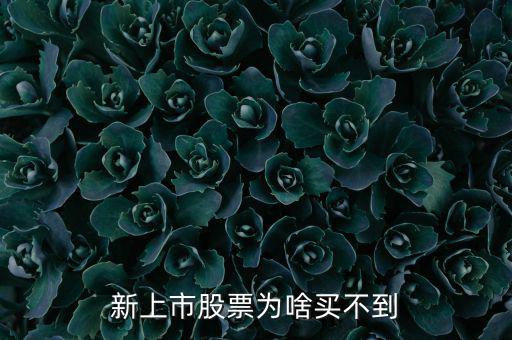 為什么新股我總買不到，新上市股票為啥買不到