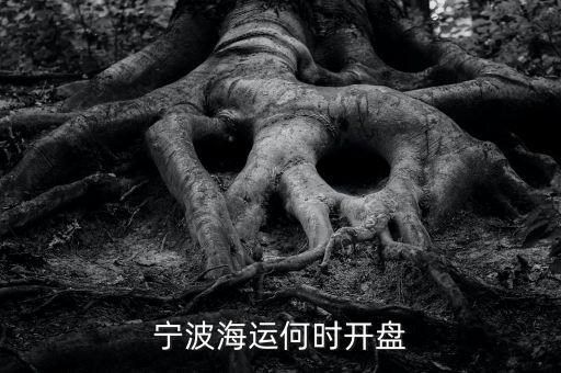 寧波海運(yùn)何時(shí)開(kāi)盤(pán)