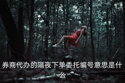 股票委托編號是什么意思，股票交易中委托編號208中208是什么意思