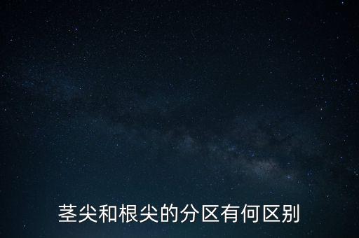 外高橋分區(qū)指按部屬于什么級別，上海市外高橋保稅區(qū)是屬于什么區(qū)