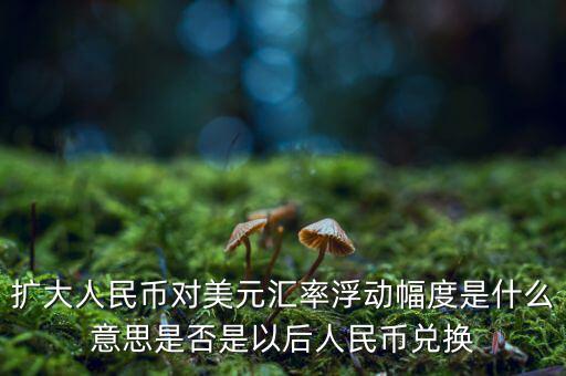 擴(kuò)大人民幣對美元匯率浮動幅度是什么意思是否是以后人民幣兌換