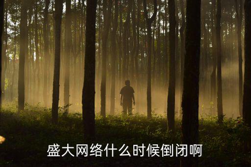 美國(guó)盛大游戲什么時(shí)間退市，盛大倒閉確切日期