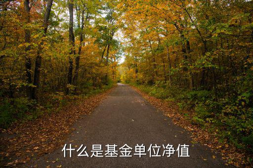 基金中什么是單位凈值，什么是基金單位凈值