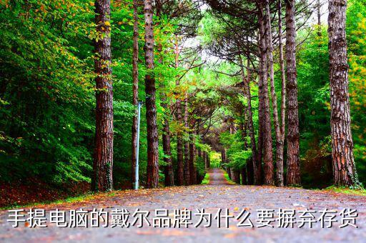 戴爾用信息代替庫(kù)存的后果是什么，我的筆記本電腦是DELL的前幾天買的人家二手貨他把系統(tǒng)的信