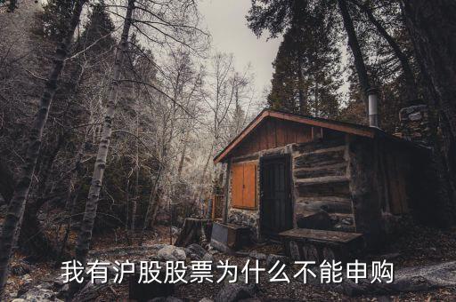 為什么我不能申購滬市新股，我有滬股股票為什么不能申購