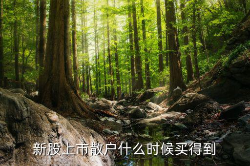 散戶什么時候才能買到新股，新股上市散戶什么時候買得到