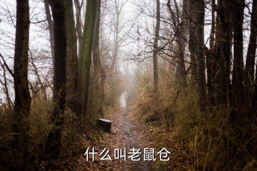 什么是老鼠倉圖形，股票中什么是老鼠倉呢簡明即可