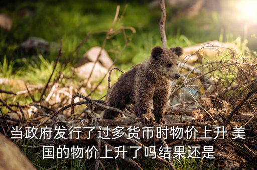 當(dāng)政府發(fā)行了過多貨幣時(shí)物價(jià)上升 美國的物價(jià)上升了嗎結(jié)果還是