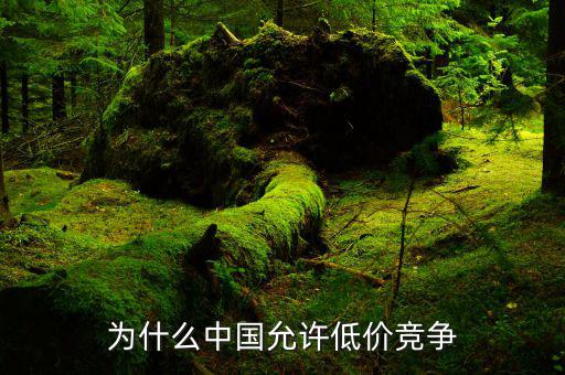為什么會有壟斷低價，用經(jīng)濟學原理解釋商品為什么會出現(xiàn)優(yōu)質(zhì)低價